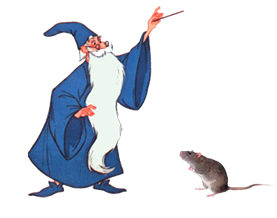 mago y raton